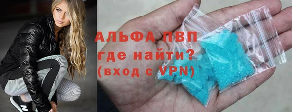 эйфоретик Гусь-Хрустальный