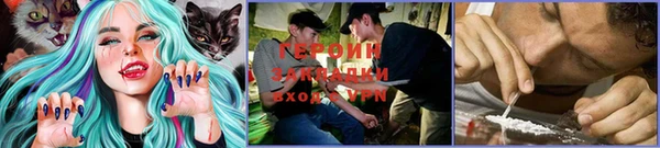 гашик Дмитриев