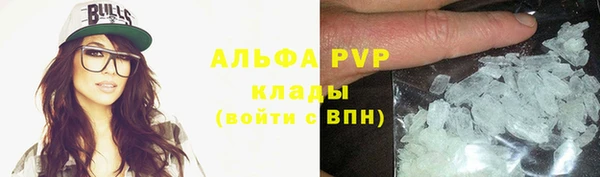 гашик Дмитриев