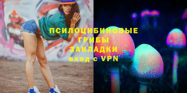 гашик Дмитриев