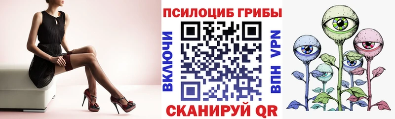 Купить закладки  Кировград  Псилоцибиновые грибы Psilocybe 